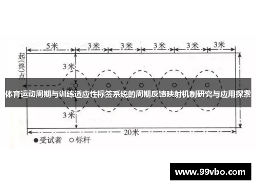 体育运动周期与训练适应性标签系统的周期反馈映射机制研究与应用探索